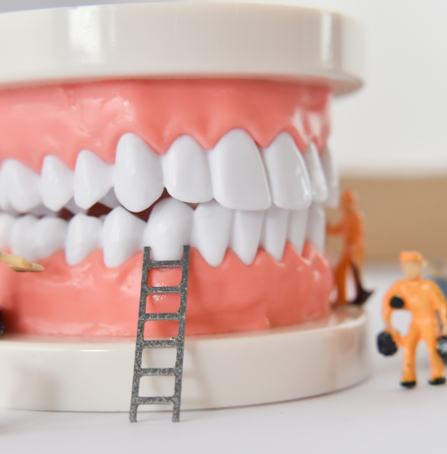 Jak správně čistit zuby?