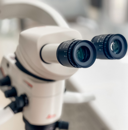 Working with microscope